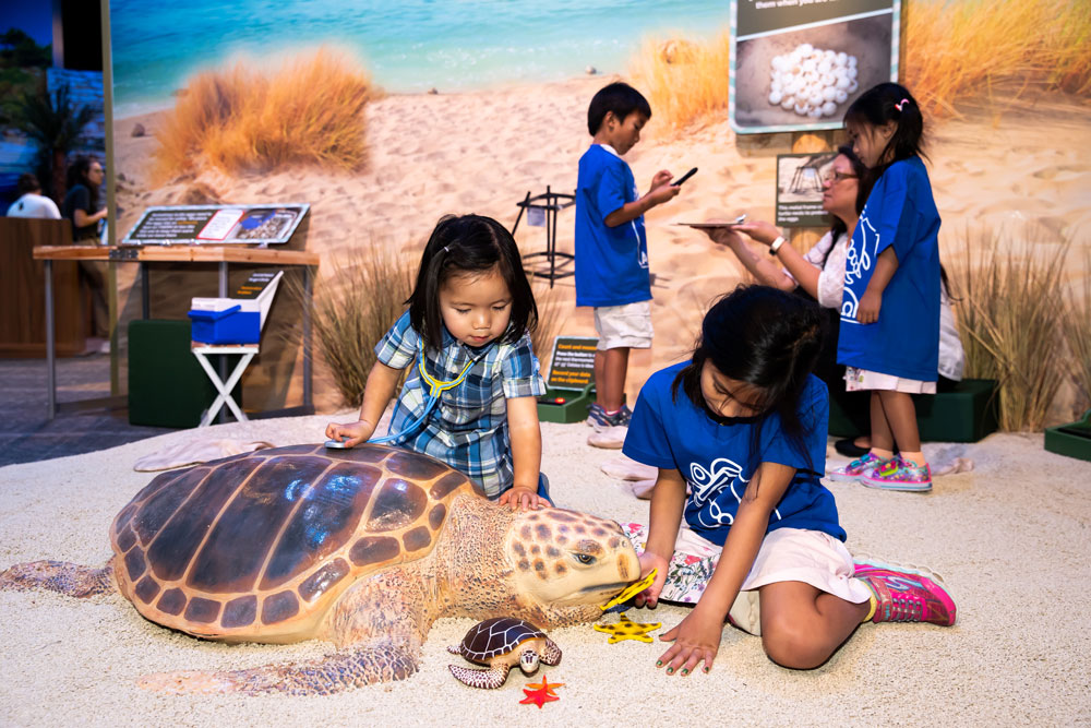 Children sitting on a pretend beach and caring for large sea turtle sculptures.